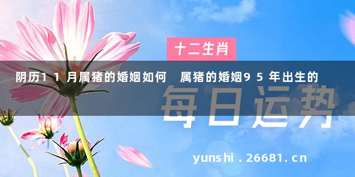 阴历11月属猪的婚姻如何 属猪的婚姻95年出生的